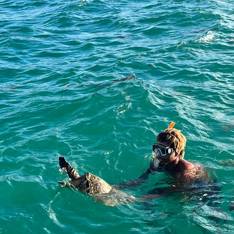 Treat them with love and care, it's a must to show tourists sea turtle, dolphin Nemo glass bottom boat seychelles 🇸🇨 Team