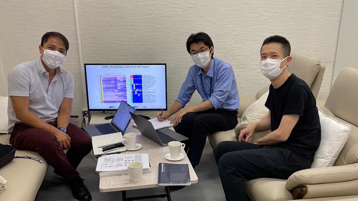 When you leave but never really leave ;)Schizophrenia research 🎯 Excited to contribute to understanding this complex disorder. #JikeiUniversity #spatialtranscriptomics #Japanbrainbank
