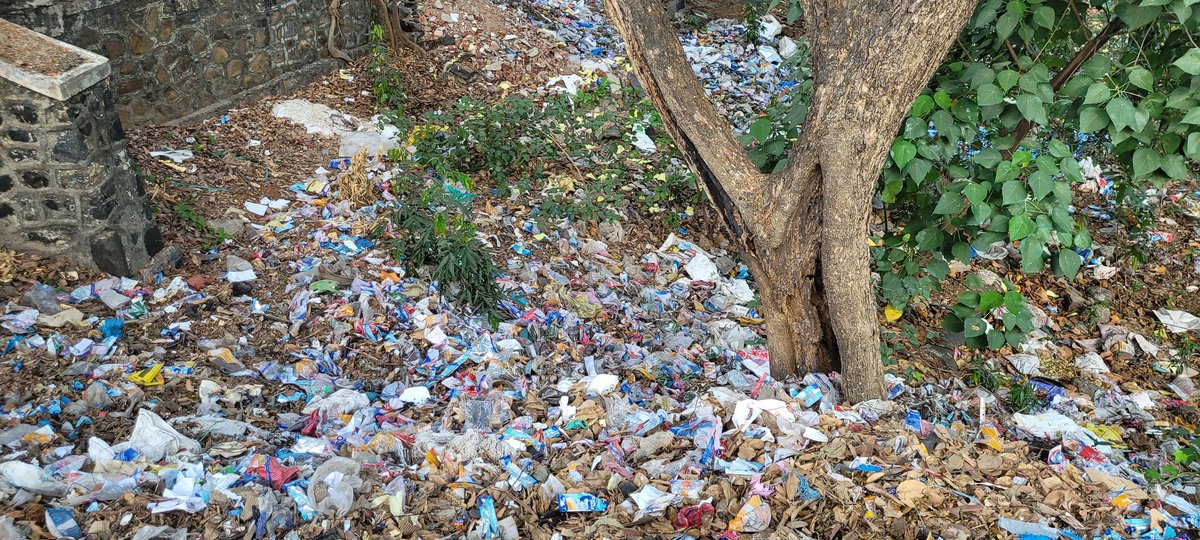 OberoiSplendorG's tweet photo. The dumping yard of Mumbai.
Is this what Aaray Milk Colony is for ???
@Empower__org @jalpeshmehta @SanjivValsan
@greenstalin @zoru75 @cassynaz
@MumbaiPolice @MahaForest @mybmcWardPS  @mybmcWardKE
@ben_ifs @MahaForest @ApccfM  @mybmc
@Empower__org @jalpeshmehta @SanjivValsan https://t.co/Dvcrd1Hg3Y
