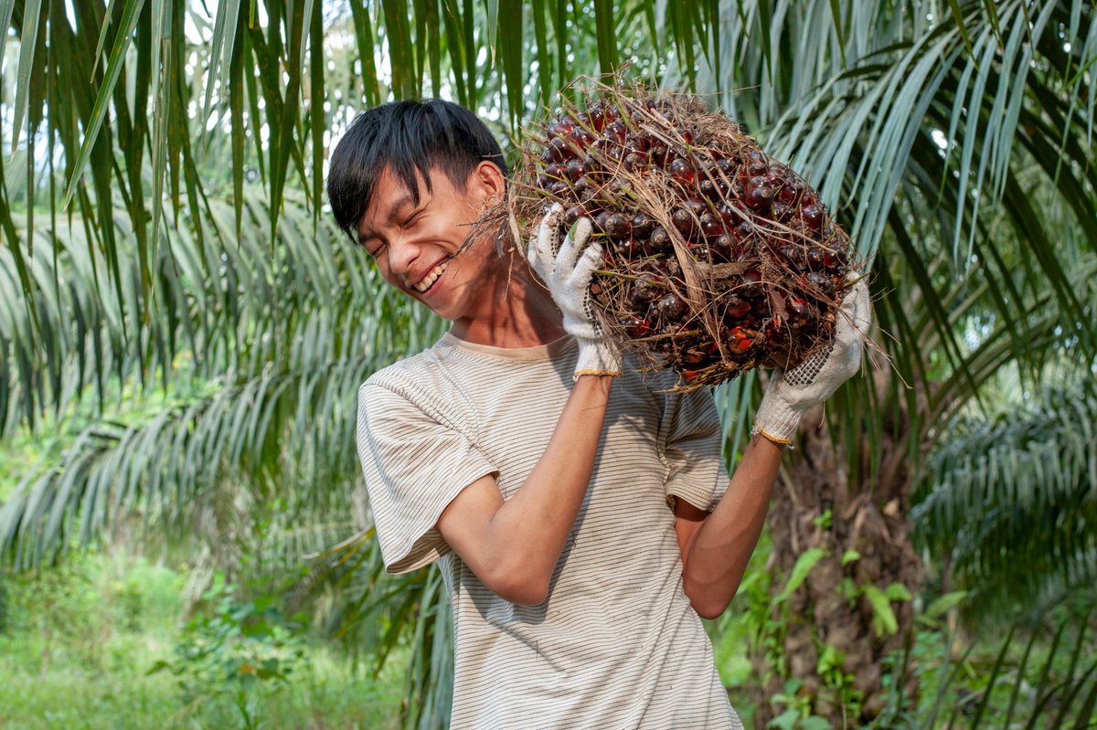 🌍On the occasion of #BiodiversityDay, the @GCRF_TRADE_Hub team have shared some reflections on international trade and its crucial dependence on #biodiversity 🚢 Follow the link to read this blog post ➡️ bit.ly/43gsFEX 🌱🌿