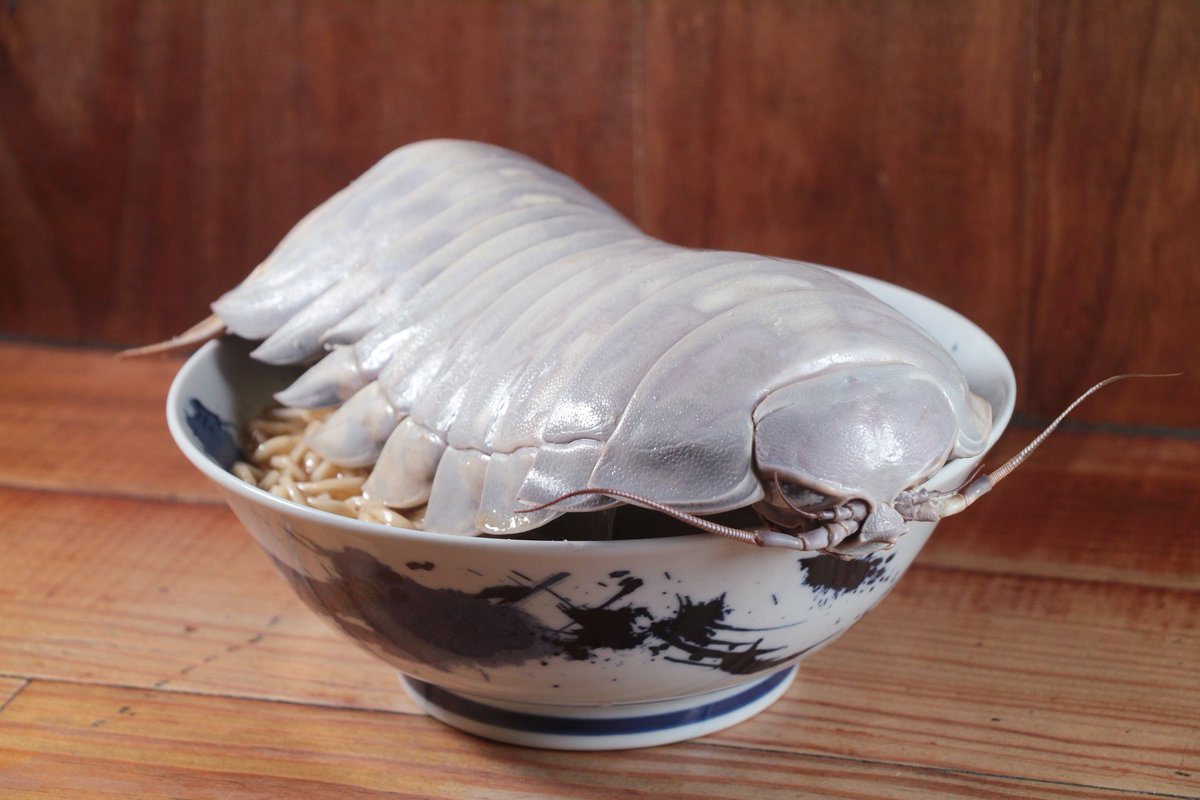 fssc_jyang's tweet photo. 台湾ラーメン店「拉麵公子」限定メニュー 「ダイオウグソクムシ入り濃厚魚介鶏白湯ラーメン」インパクト強すぎ ww
#ダイオウグソクムシラーメン #ダイオウグソクムシ #限定ラーメン https://t.co/olYvoqNrsI