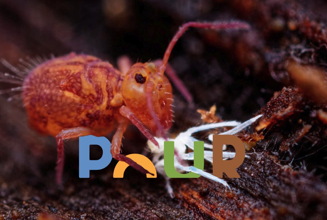 JM biodiversité ! La #biodiversité, c’est le tissu vivant de notre planète, notre capital, notre patrimoine. POUR transmettre à nos enfants des sols en bonne santé, attisons le #vivant et la biodiversité #POUR préserver la vie sur #Terre.
POUR signer👉 vu.fr/TMhH