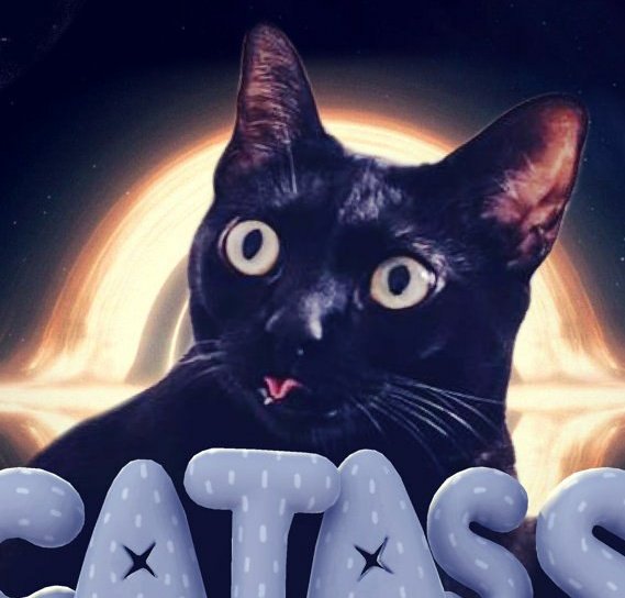 antiheroe's tweet photo. Miga la gatita / Miga the cat #catass https://t.co/fTM8IT9hhO