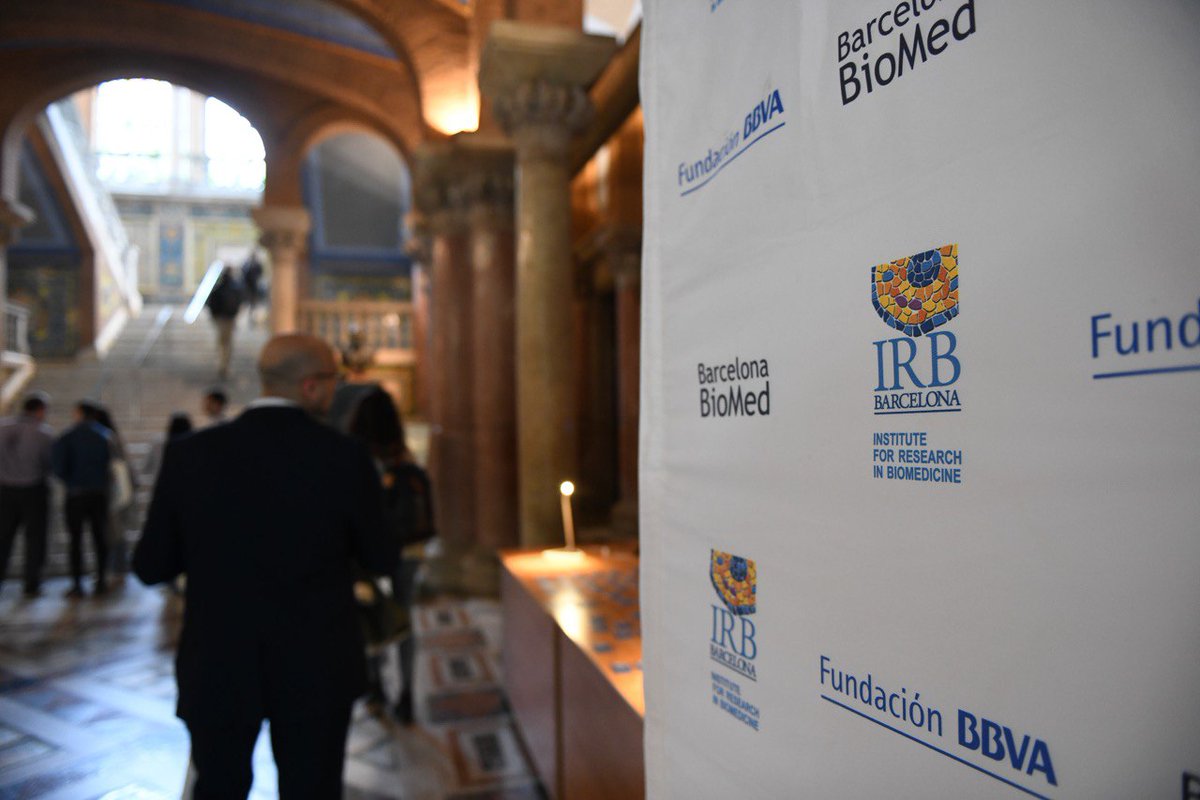 IRB Barcelona (@irbbarcelona) on Twitter photo 🎯Targeted protein degradation as a therapeutic strategy: the focus of the 39th #BarcelonaBioMed Conference.
🗣The <a href="/FundacionBBVA/">Fundación BBVA</a> & #IRBBarcelona are bringing together in #Barcelona more than 150 scientists from 🌏all over the world to discuss the latest advances in this 🎯Targeted protein degradation as a therapeutic strategy: the focus of the 39th #BarcelonaBioMed Conference.
🗣The <a href="/FundacionBBVA/">Fundación BBVA</a> & #IRBBarcelona are bringing together in #Barcelona more than 150 scientists from 🌏all over the world to discuss the latest advances in this