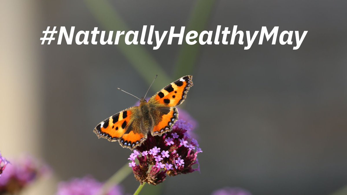 Spread your wings for #NaturallyHealthyMay! We love nature and Devon is jam packed with places to go and visit to get outside and immerse yourself! For inspiration, visit  soc.devon.cc/UrNnL