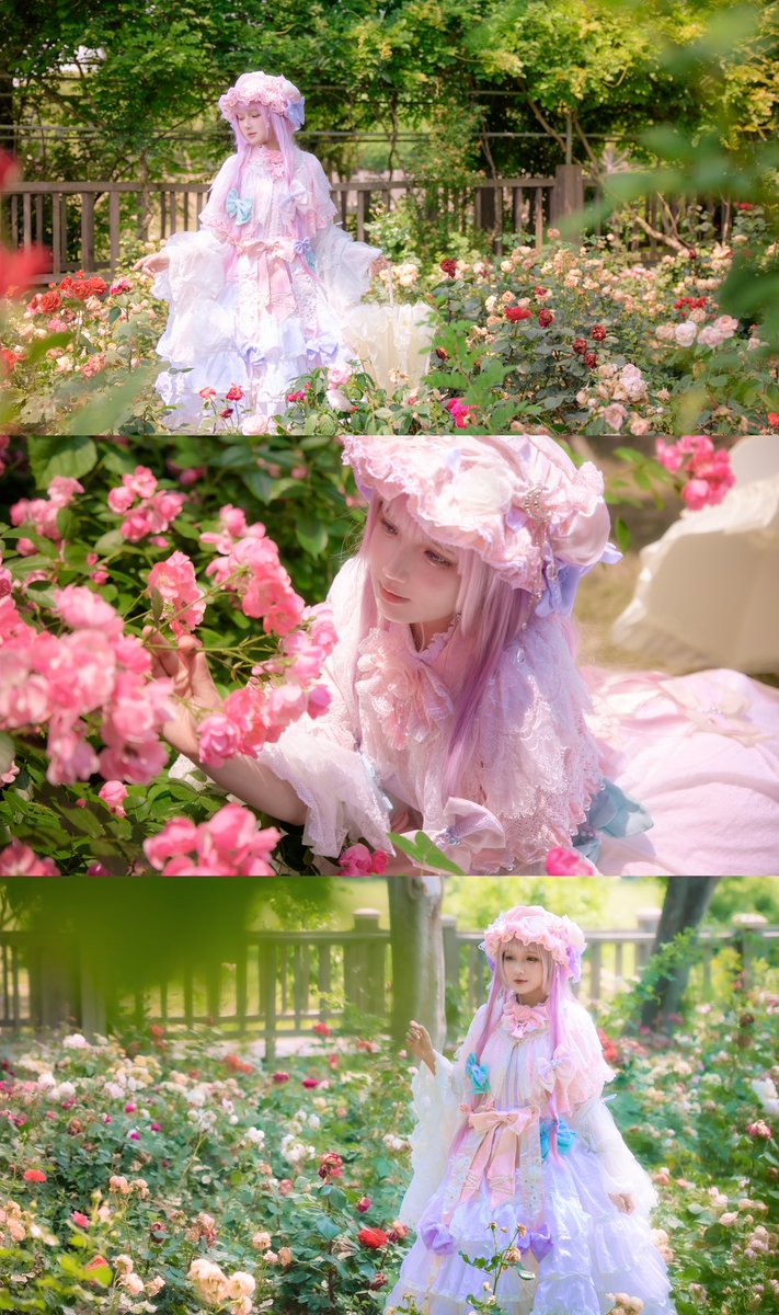 Ezimu_Akane's tweet photo. #東方Project #パチュリー・ノーレッジ 
✨魔女の秘密花園🧙‍♀️
衣装@sasara_miyako 

今回はサマーパートの衣装を着ていますが、すでにとてもエレガントで美しいです！ 冬は室内でのフル衣装撮影が楽しみです！ https://t.co/Phwf1H32rJ