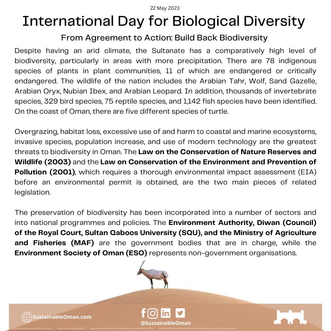 SustainableOman's tweet photo. This day is observed to draw attention to the dangers that some species face and the resultant substantial decline in their numbers caused by specific human activities

#BuildBackBiodiversity #AgreementToAction #KMGBF #HarmonyWithNature #30by30 #ActionDecade #IDB2023 https://t.co/F6jF2hdIpD