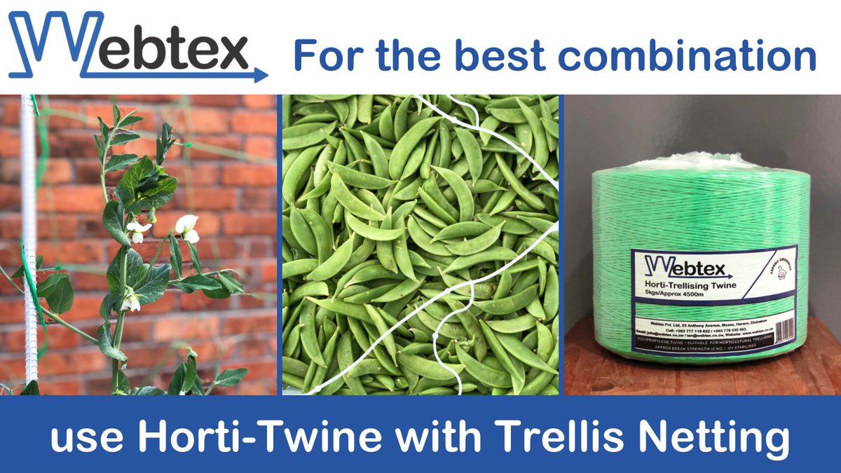 WebtexZw's tweet photo. The best combinations lead to positive results
🪢🫛🚜
#bestcombination #hortitwine #trellisnetting #horticulture #peas #exportcrop #zimfarming #supportingagriculture #webtexzw https://t.co/Ee9N1gvp7G
