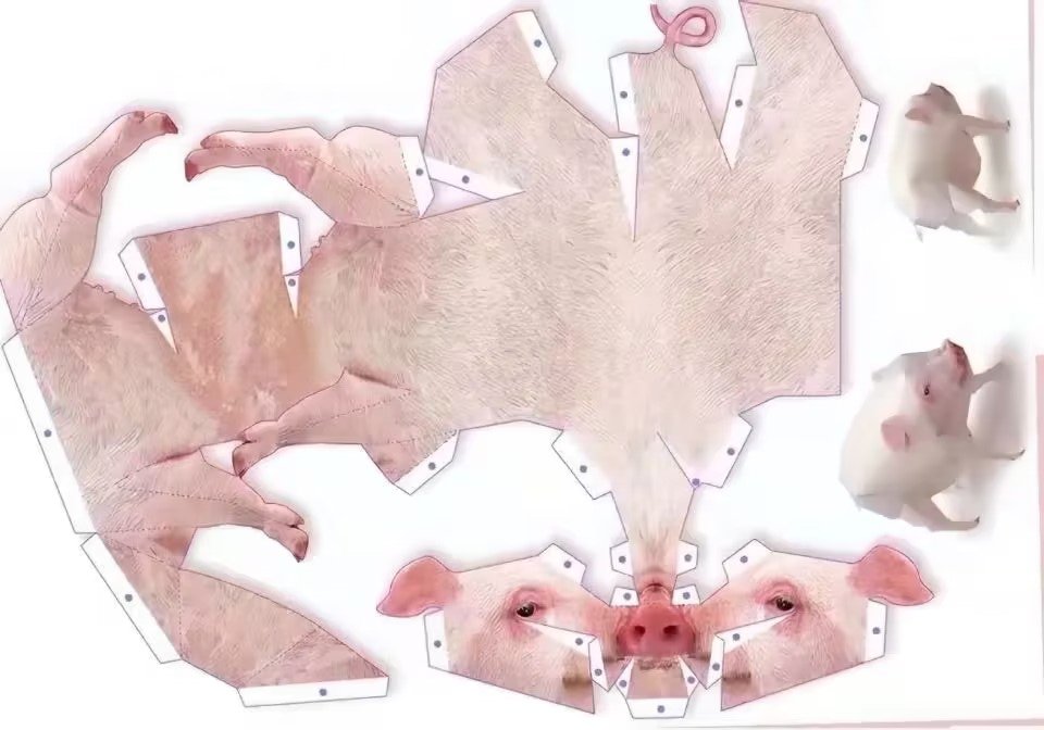 以防有人需要（谁会要啊）