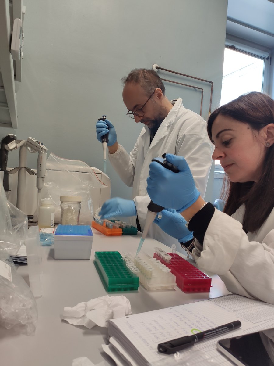 ProgettoQ's tweet photo. Due anni per produrre un dataset enorme con dati genomici, dendrocronologici, ecologici, vegetazionali, fitopatologici. Riusciremo a capire qualcosa di più sulle cause del deperimento della #farnia e come contrastarlo?
Per saperne di più https://t.co/1Ff4MfeGHJ
@CNRsocial_ @unipv https://t.co/XMBEALgTNF