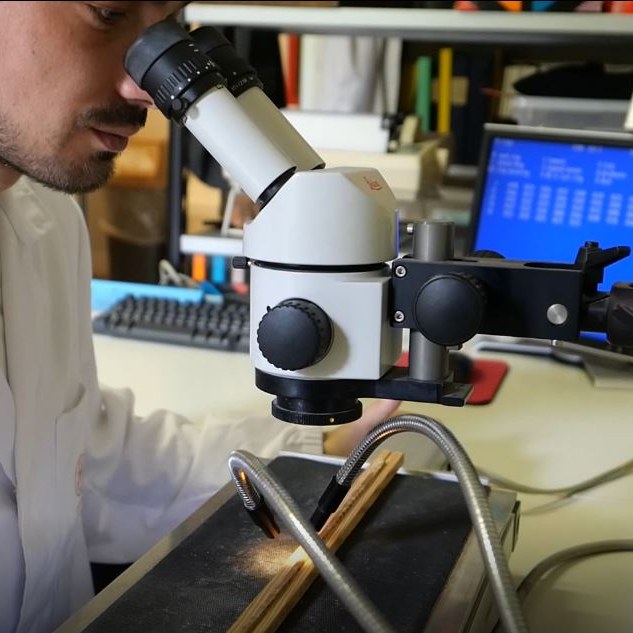 ProgettoQ's tweet photo. Due anni per produrre un dataset enorme con dati genomici, dendrocronologici, ecologici, vegetazionali, fitopatologici. Riusciremo a capire qualcosa di più sulle cause del deperimento della #farnia e come contrastarlo?
Per saperne di più https://t.co/1Ff4MfeGHJ
@CNRsocial_ @unipv https://t.co/XMBEALgTNF