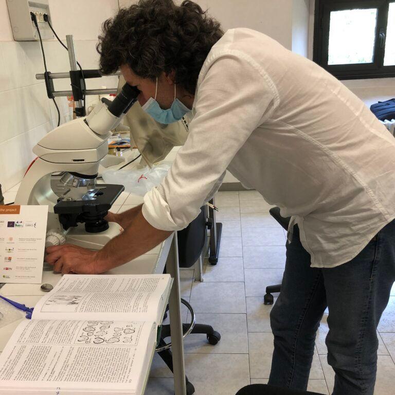 ProgettoQ's tweet photo. Due anni per produrre un dataset enorme con dati genomici, dendrocronologici, ecologici, vegetazionali, fitopatologici. Riusciremo a capire qualcosa di più sulle cause del deperimento della #farnia e come contrastarlo?
Per saperne di più https://t.co/1Ff4MfeGHJ
@CNRsocial_ @unipv https://t.co/XMBEALgTNF