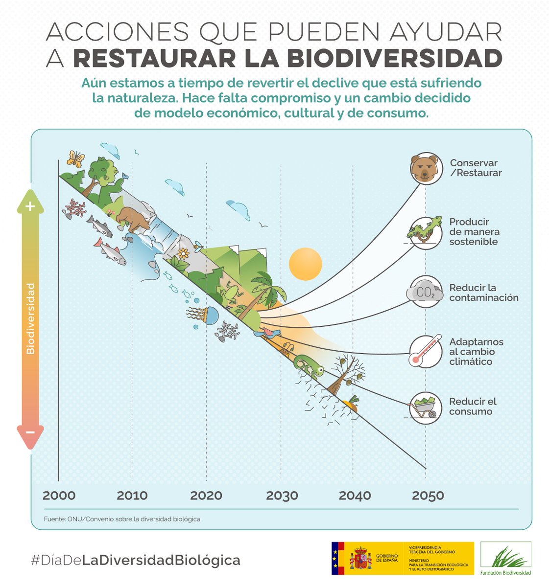 La vida silvestre ha disminuido un 6⃣0⃣% en los últimos 50 años.

Aún estamos a tiempo de aplanar la curva 📉 de la pérdida de #biodiversidad 💪💪

#DíaDeLaBiodiversidad #DíadelaDiversidadBiológica