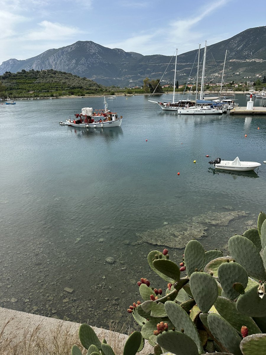 ✘Buddy tweet media