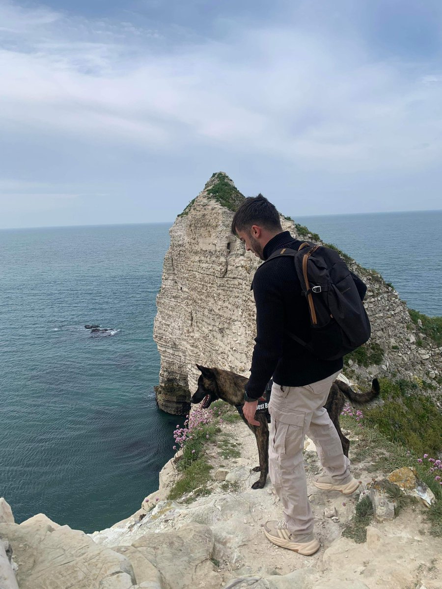 Bonjour la Normandie 🏞️ #normandie