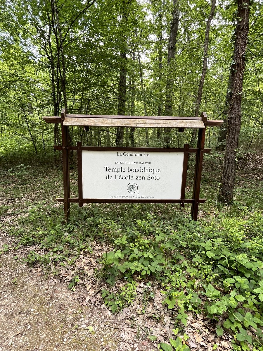 mtwjmsdns's tweet photo. After researching the #ethics of #DigitalWellBeing for 3 years, I still find the best thing for it is #soto #zen #meditation. Check out La Gendronnière, which has been mastering the art of #DigitalDisconnection since the 1980s: https://t.co/jZTWxVa3qD https://t.co/r7C82QRbE0