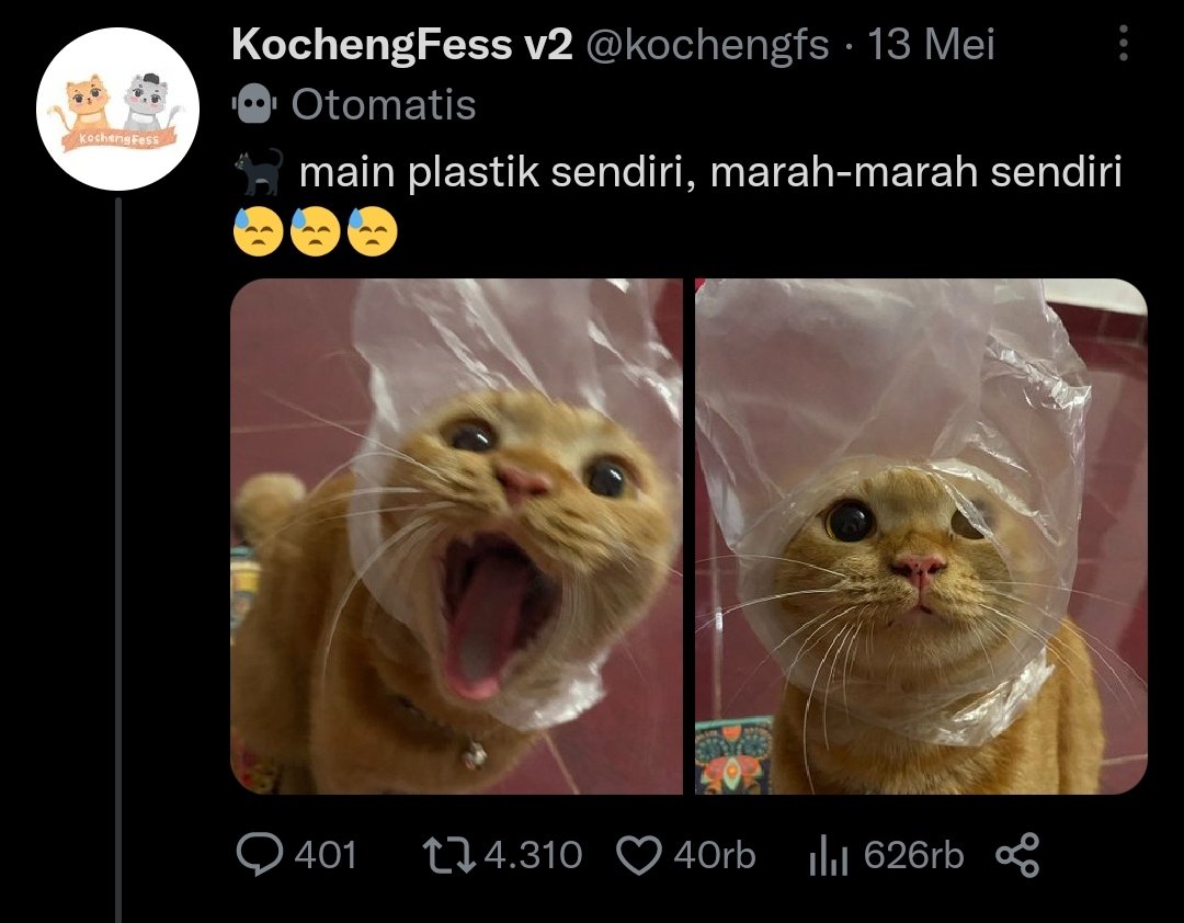 kochengfs's tweet photo. 🐈 kucingku makin congkak setelah viral di kochengfs 😔  https://t.co/NbmhRxsNcg