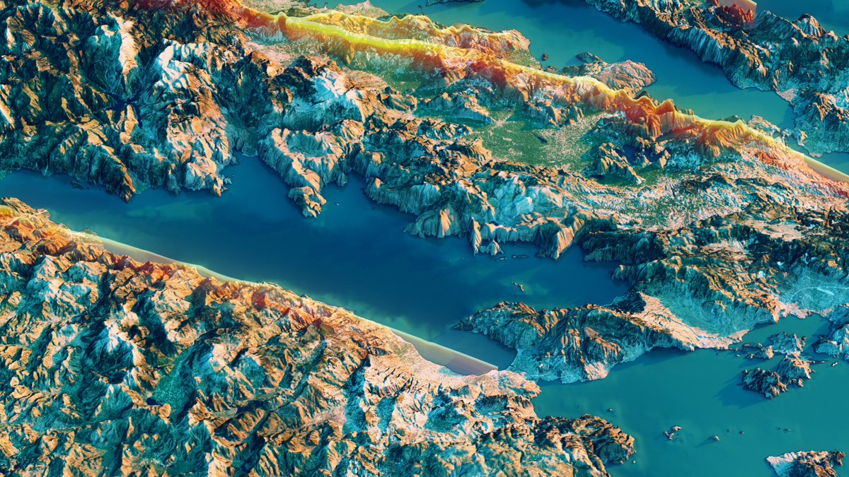 Dmitriy Vorontzov tweet media