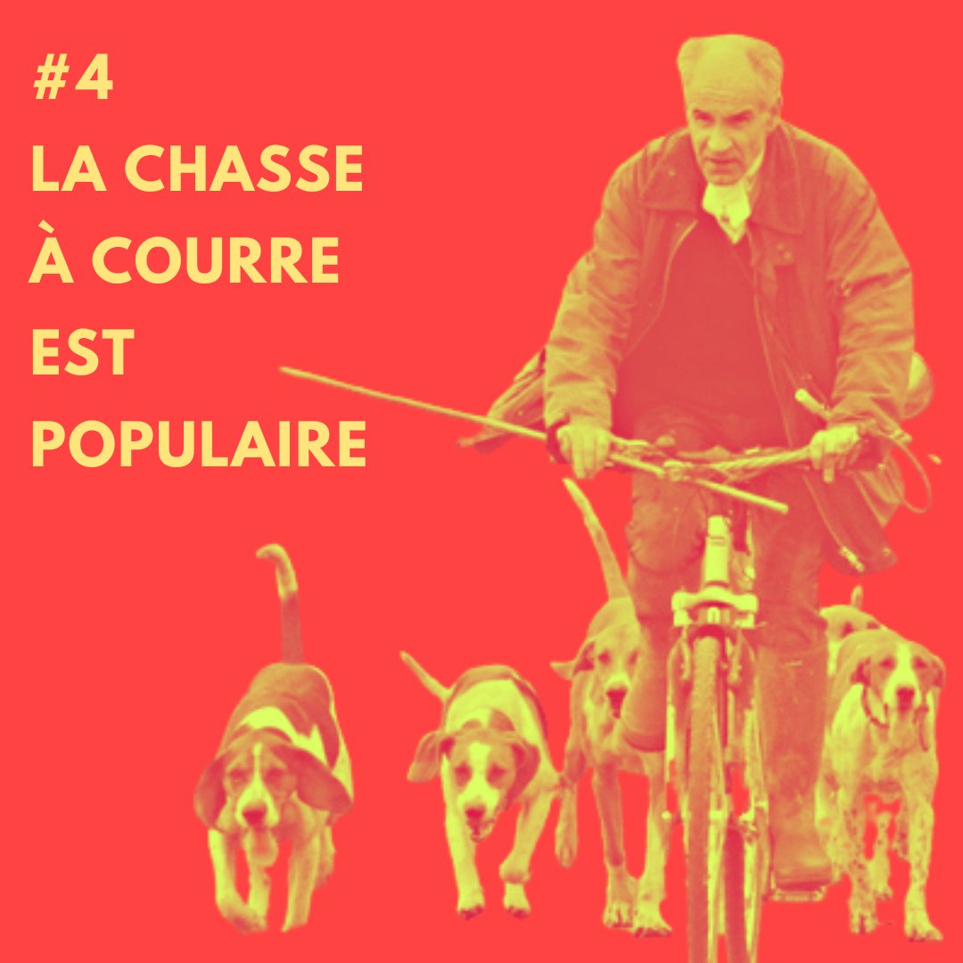 Société de Vènerie tweet media