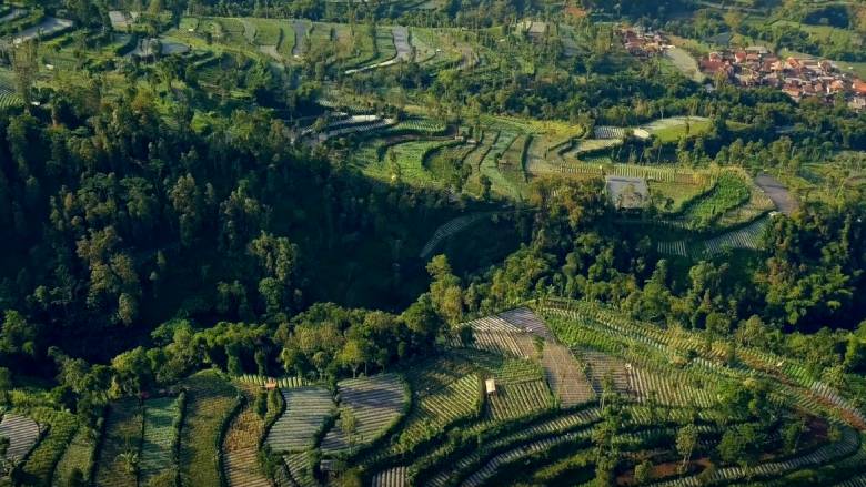 Agriculture is a significant contributor to #ClimateChange &amp; deforestation, but it can also be part of the solution. 

The FOLUR program aims to achieve synergy between food production &amp; environmental conservation.

Find out how: wrld.bg/VSMe50Op1Ta

#BiodiversityDay