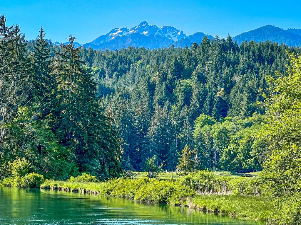 neoyia2's tweet photo. Olympic mountains, Washington state [OC] 2800x2500 via https://t.co/xTE5nutoJT https://t.co/plk1npM0an