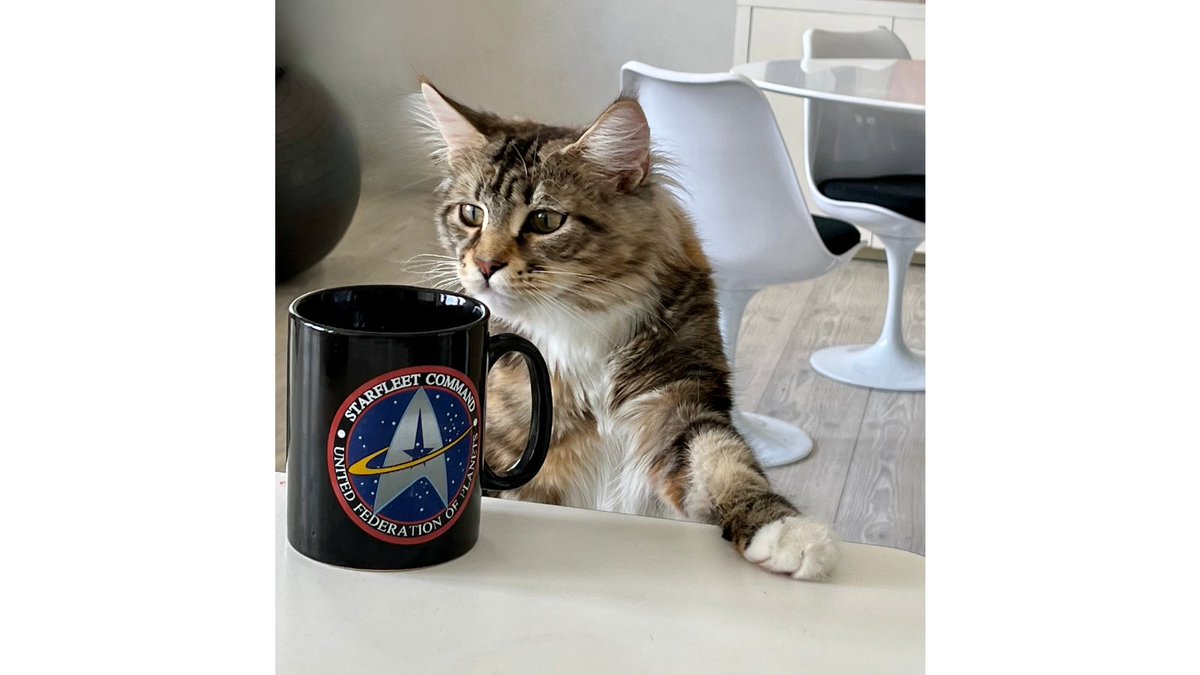 Auch meine Co-Autorin macht Kaffeepause mit Stil