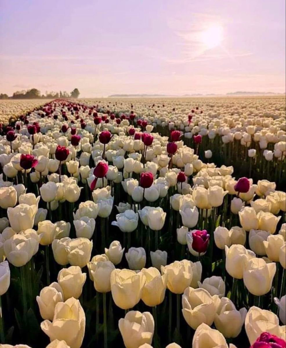 12tmimi's tweet photo. Beautiful day. https://t.co/IK8e2GS7pv