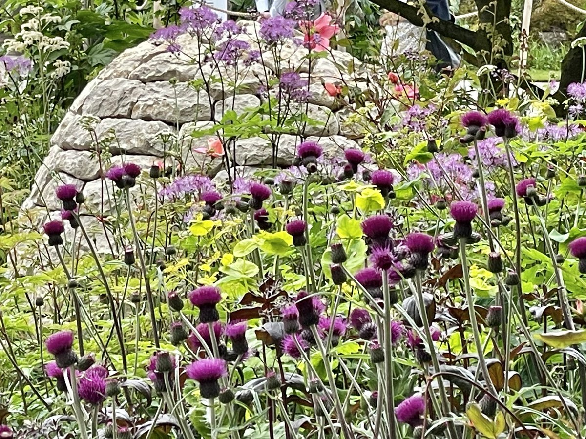 FrankRGardner's tweet photo. @HoratiosGarden at @The_RHS #ChelseaFlowerShow today. The first garden to exhibit here with mobility needs at its heart - they’ve even wheeled a hospital bed in amongst the flowers. https://t.co/esR48n0HBD
