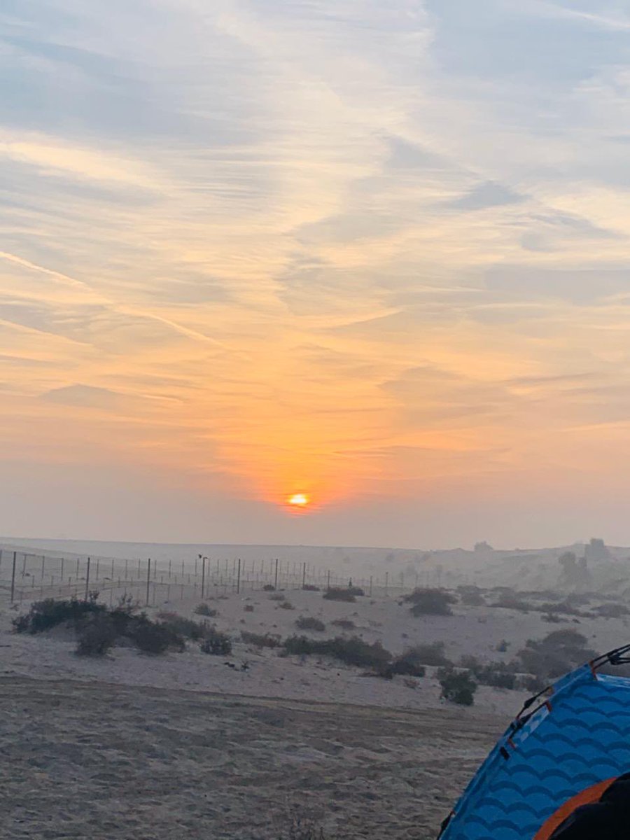 CoolApeProject's tweet photo. GM fam🌞

Embrace the day with determination and belief. Rise, chase your dreams, and make every moment count. You've got this! 💪✨ https://t.co/cFkeCofTqk