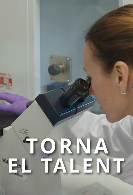 ▶️JA A LA CARTA | "Torna el talent" a <a href="/tv3cat/">TV3 és ara @Som3Cat</a>

Quin és l'estat de la recerca a Catalunya? Què li falta per progressar més? Hi ha prou oportunitats per als investigadors? 

🎞️Un reportatge de <a href="/xduran_e/">Xavier Duran</a> i <a href="/jccalvera_/">.</a> 
🔗ccma.cat/tv3/alacarta/3…
