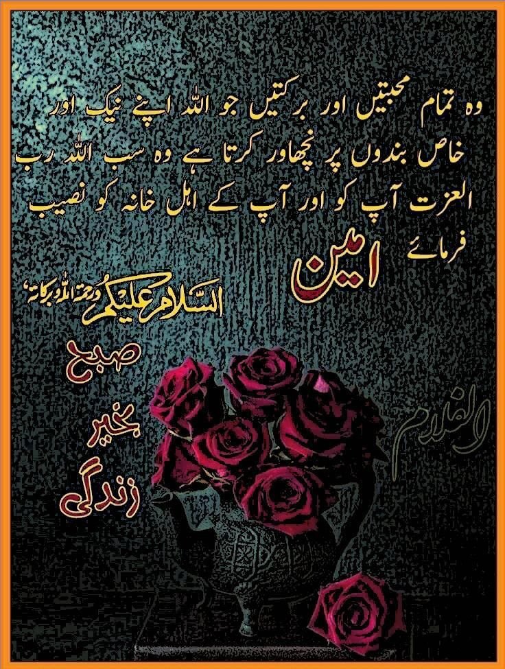 Pearls_For_Life's tweet photo. صبح بخیر
#PearlsForLife
#زندگی_کے_لئیے_موتی
https://t.co/oDQcltUJbN
https://t.co/4zLh4WQnwj https://t.co/YPk0TIyKnm