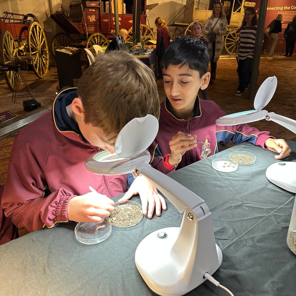 WSFBrisbane's tweet photo. We've welcomed hundreds of curious minds at #WSFQ2023 Toowoomba Student Day today, with students unleashing their inner scientists @CobbandCoMuseum with science shows, hands-on activities, live animals and explosive fun!
#WSFQ #FutureScientists #STEM #ThisIsQueensland https://t.co/IstPM9PkXy