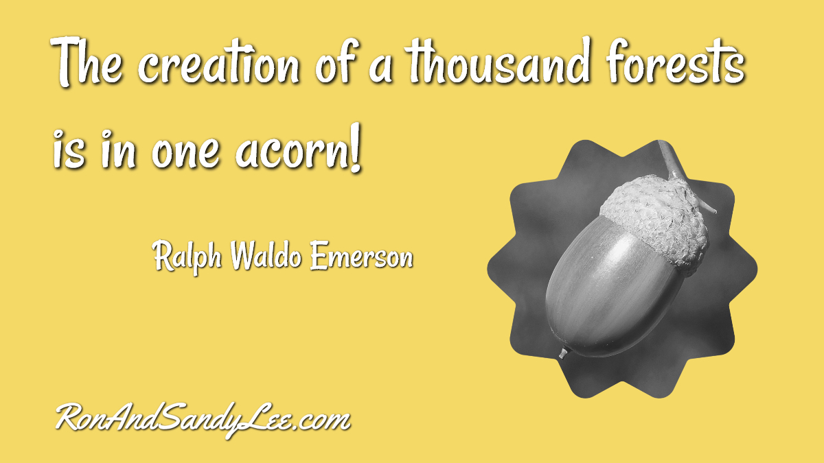 SandyLeeAndRon's tweet image. &quot;The creation of a thousand forests is in one acorn!&quot; - Ralph Waldo Emerson 
Amazing what each of us has the ability to create! 🧡💛💚💙💜❤️
#socialmediaguru #workforyourself #empowersocial
