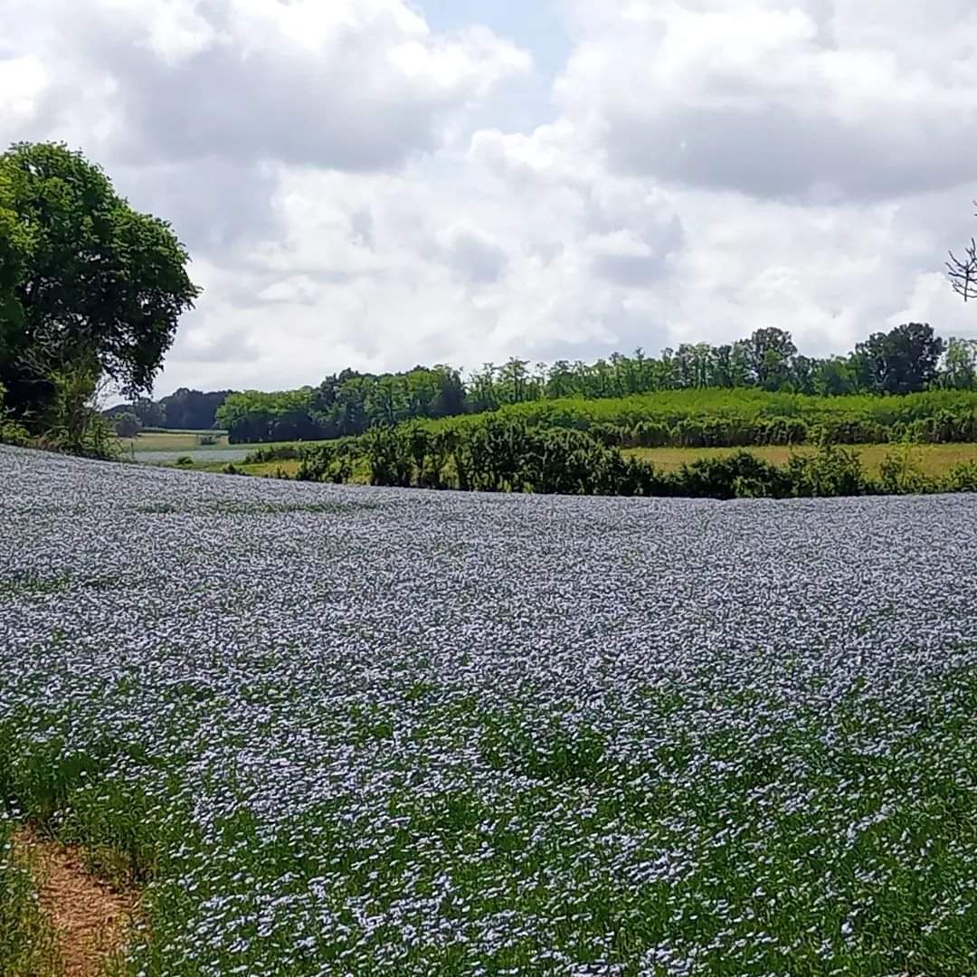 Christian DANIAU tweet media