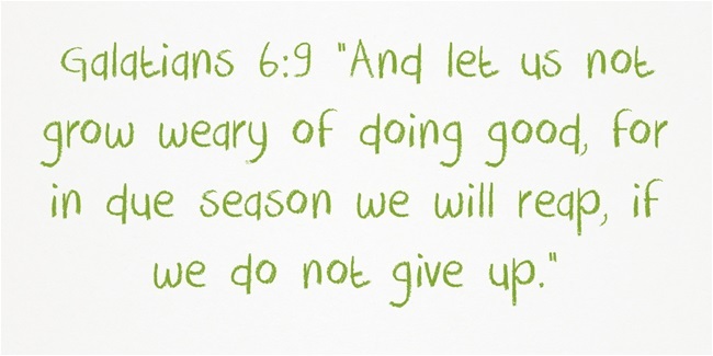 Let us not grow weary of doing good, for in due season we will reap, if we do not give up | #bible #quote #charity