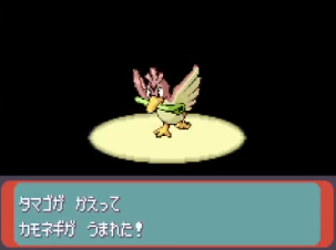 yokosion on X: Shiny Farfetch'd after 63,608 eggs hatched. This