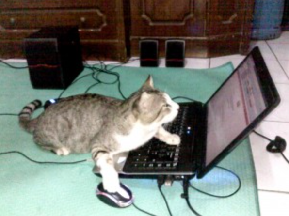 gm

say it back or we drain your wallet