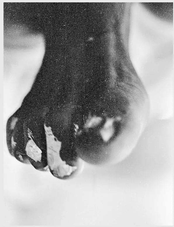 NeemKaroliiBaba's tweet photo. 👏🏻
इन चरणों को माथे से लगा लो अपने,
जन्म जन्मों के पाप मिटा लो अपने

जय गुरूदेव
👏🏻 https://t.co/oRr81GfrXl