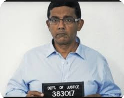 MeloRolenn's tweet photo. @DineshDSouza From our favorite bootlicker pardoned felon legal expert. https://t.co/yg856Isr1H