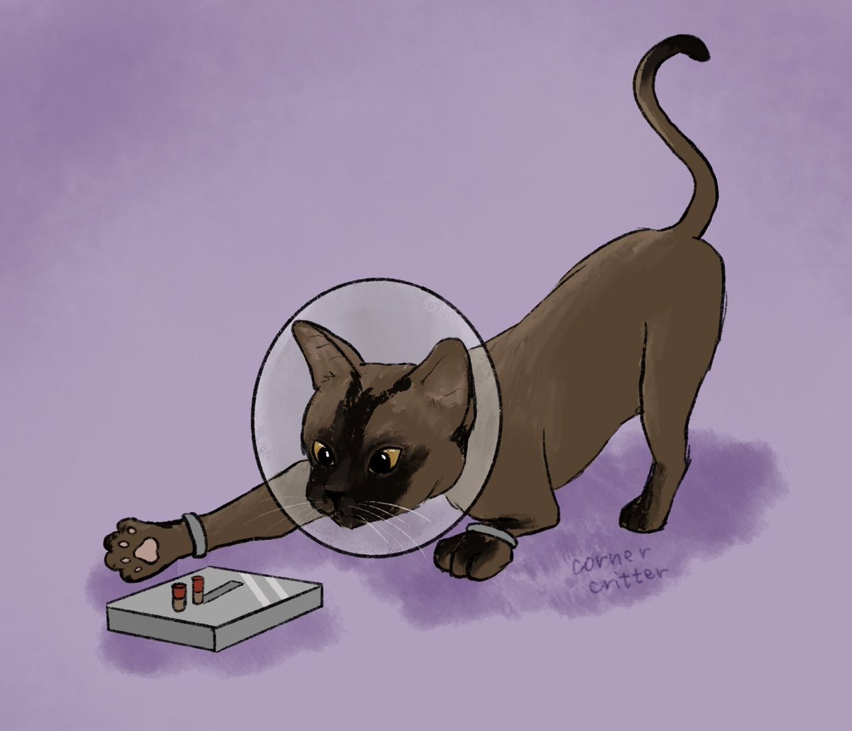 day 21 of hermits as cats: xisuma as burmese cat!! he is curious

#hermitaday #xisumafanart