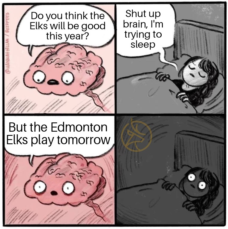 It honestly feels like Christmas. We can't wait until 2:00PM tomorrow. Jersey, drinks and eats are on standby. Preseason or not, the Edmonton Elks are back tomorrow! Link will be in the Game Day post! 
#RepFromSectionX #GoElks #CFL #JoinTheHerd 🦌