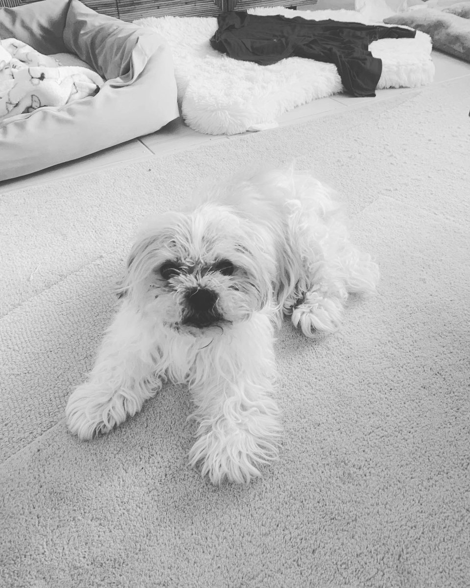 155Grace's tweet photo. @Phil_Sledge Daddy’s baby Kimo - I miss you bubba https://t.co/UaJh6HQLkf