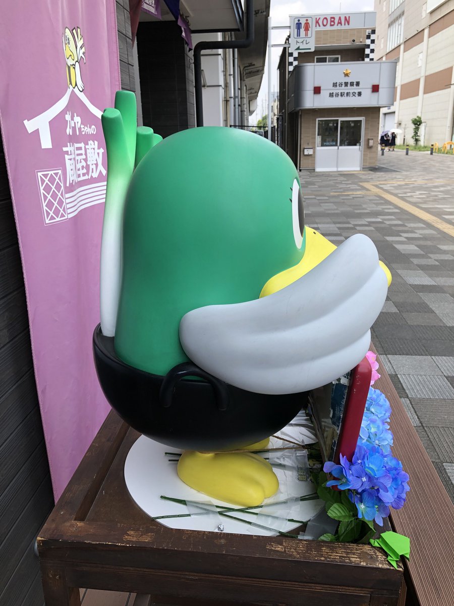 sunapon's tweet photo. ゴスマニ界隈でちょっと話題のアワライズは、
越谷でも買えます。
(こちらも阿波踊りが有名な街なので)

「阿波踊り専用エナジードリンク #AwaRise 」

#ガーヤちゃんの蔵屋敷 https://t.co/s0tE2wA84j