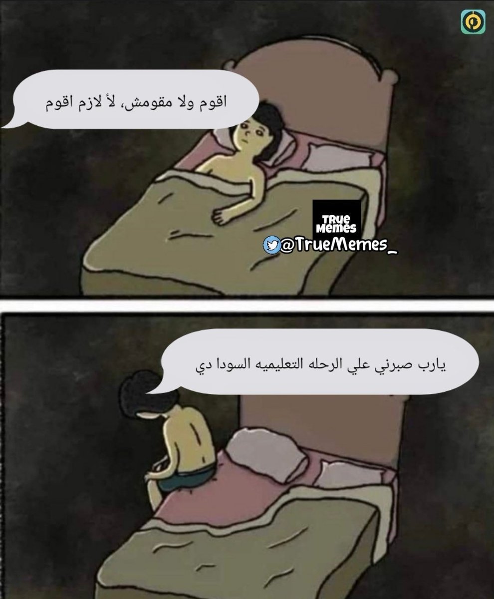 True Memes (@truememes_) on Twitter photo 
