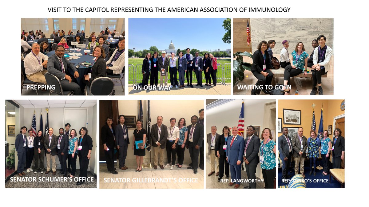 Jessy Alex (@jessyalex9) on Twitter photo 