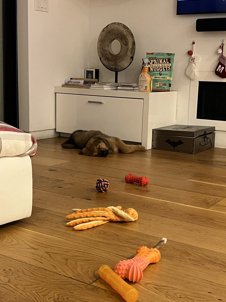 hasanbabi tweet media