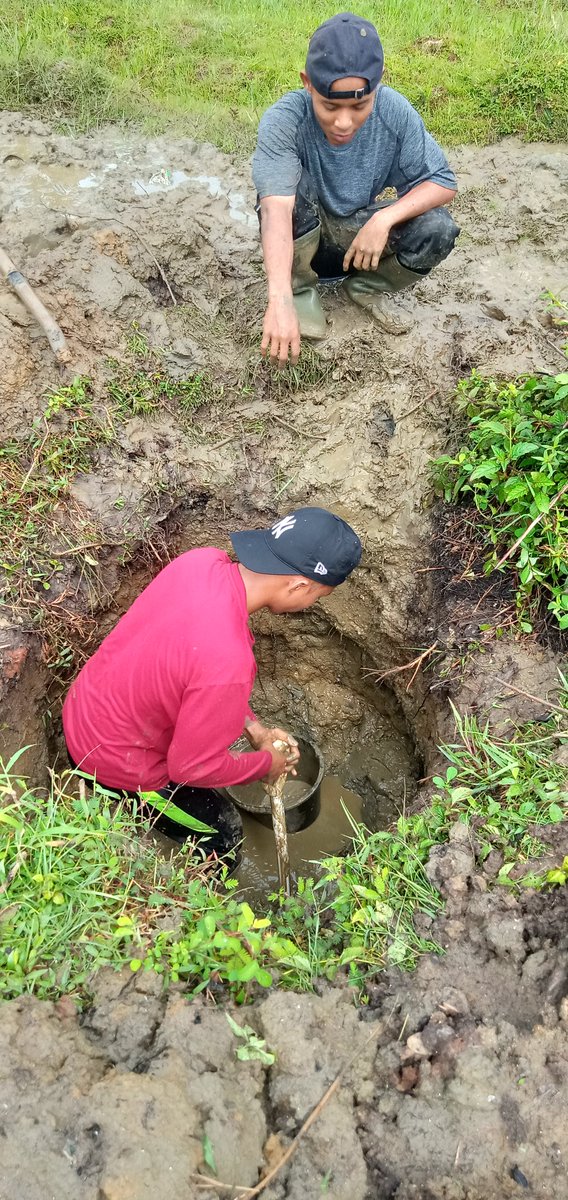 Sat49957563Andi's tweet photo. Bismillah. Amal shaleh dlu, sebelum masuk kelas .mengali sumur sedalam 3 meter. utk memudahkan menyiram tanaman/sayuran di kebun 🙂.

Yuk temen2 yg ada kmudahan, kita patungan 100.000 ya!? Utk bantu biaya harian pengelolaan kebun kebun pondok.

BSI An. Yatim Lovers 
7188903497 https://t.co/JtSYGUNdWM