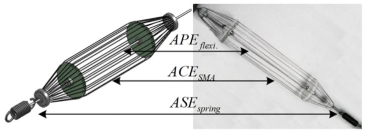 Sensors_MDPI's tweet image. #highlycitedpaper
Control Aspects of Shape Memory Alloys in Robotics Applications: A Review over the Last Decade
mdpi.com/1424-8220/22/1…
#ShapeMemoryAlloys #RoboticsApplications