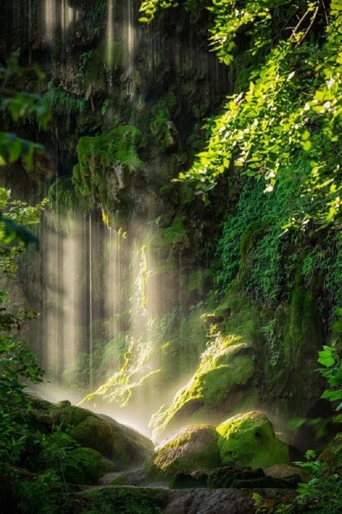 Where sunlight dances with the cascade, a symphony of nature unfolds.  

Mossy rocks bear witness to the ballet of the forest falls. 🌳💧 
 #WaterfallWonders #ForestMagic