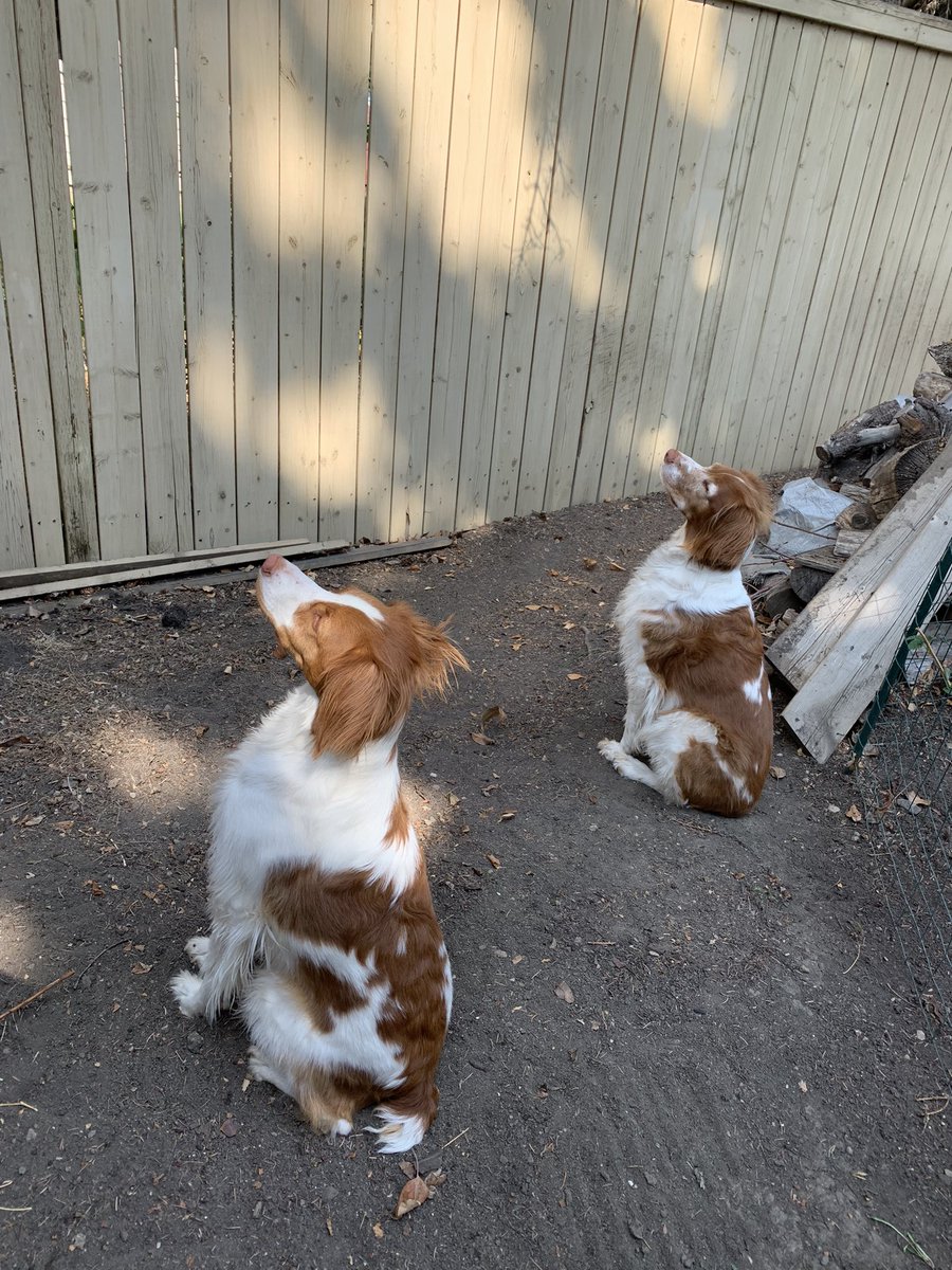 Tami Anderson tweet media